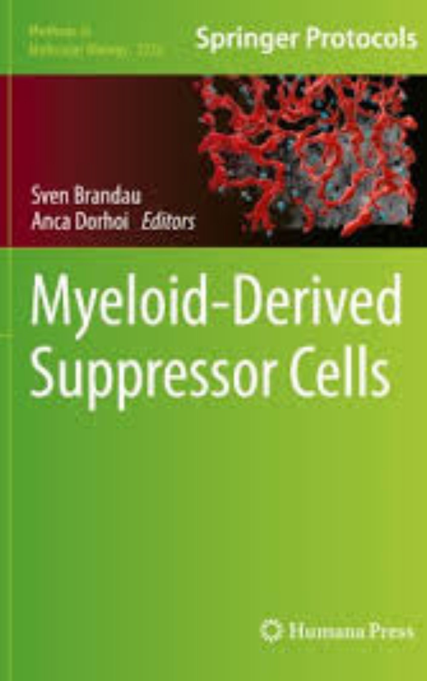 Myeloid Derived Suppressor Cells