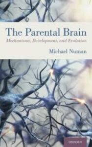 Read more about the article The Parental Brain by  Michael Numan