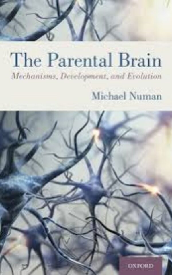 The Parental Brain