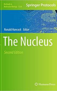 Read more about the article The Nucleus by Ronald