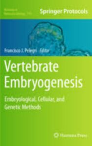 Read more about the article Vertebrate Embryogenesis Embryological Cellular and Genetic Methods by Francisco J. Pelegri