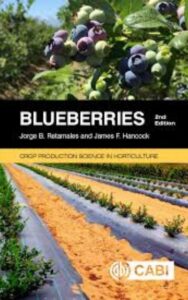 Read more about the article Blueberries by  Ellena Savage