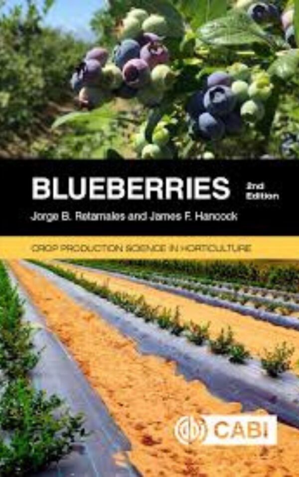 Blueberries