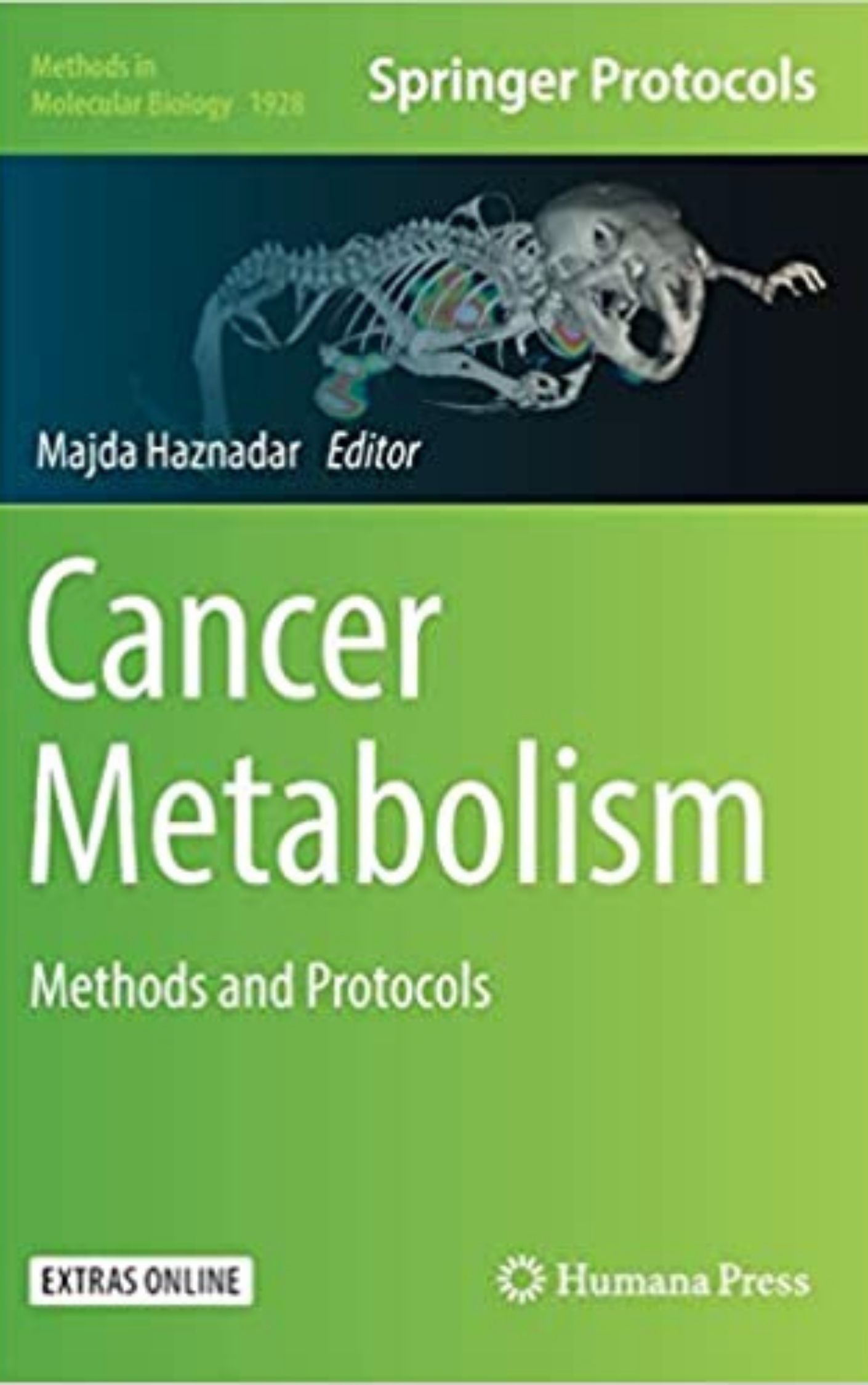 Cancer Metabolism Methods and Protocols