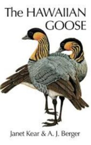 Read more about the article Hawaiian Goose by Dr Janet Kear