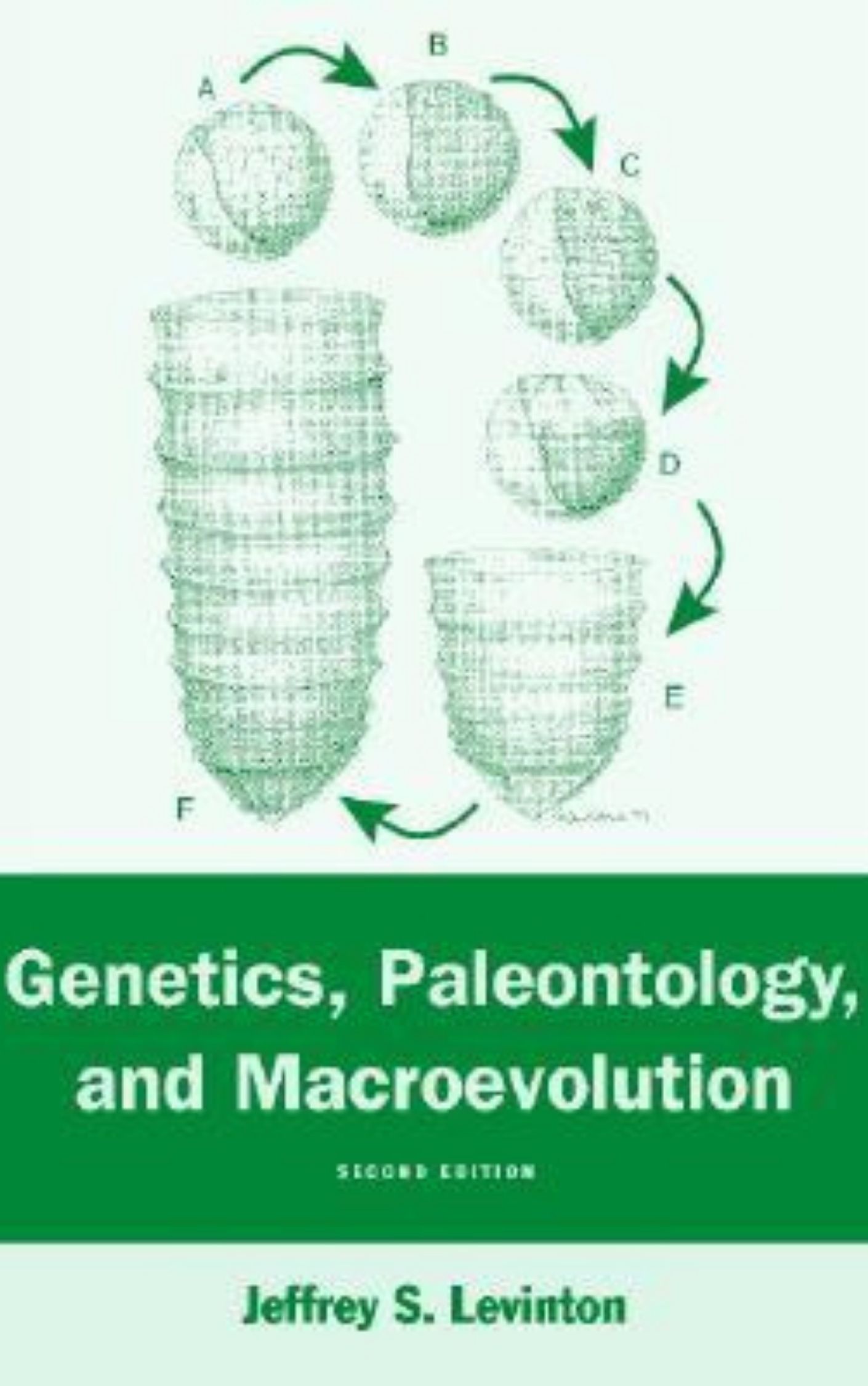 You are currently viewing Genetics paleontology and macroevolution by Jeffrey Levinton