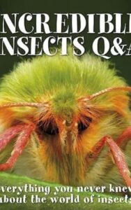 Read more about the article Incredible Insects  by Sally Tagholm