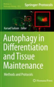 Read more about the article Autophagy in Differentiation and Tissue Maintenance by Kürşad Türkşen