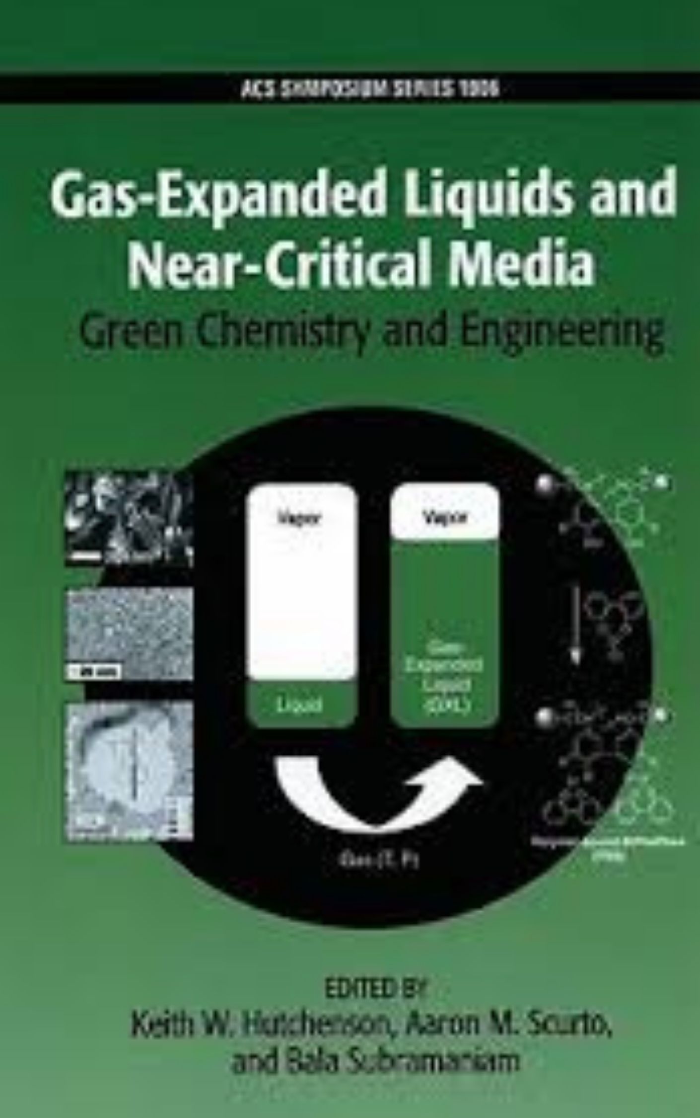 You are currently viewing Gas expanded Liquids and Near critical Media by Keith W. Hutchenson