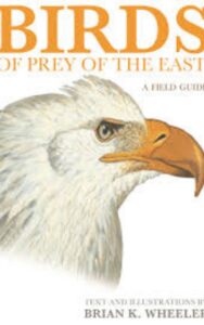 Read more about the article Birds of Prey of the East A Field Guide by  Brian K. Wheeler