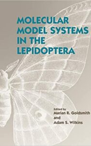 Read more about the article Molecular model systems in the Lepidoptera by Marian R. Goldsmith