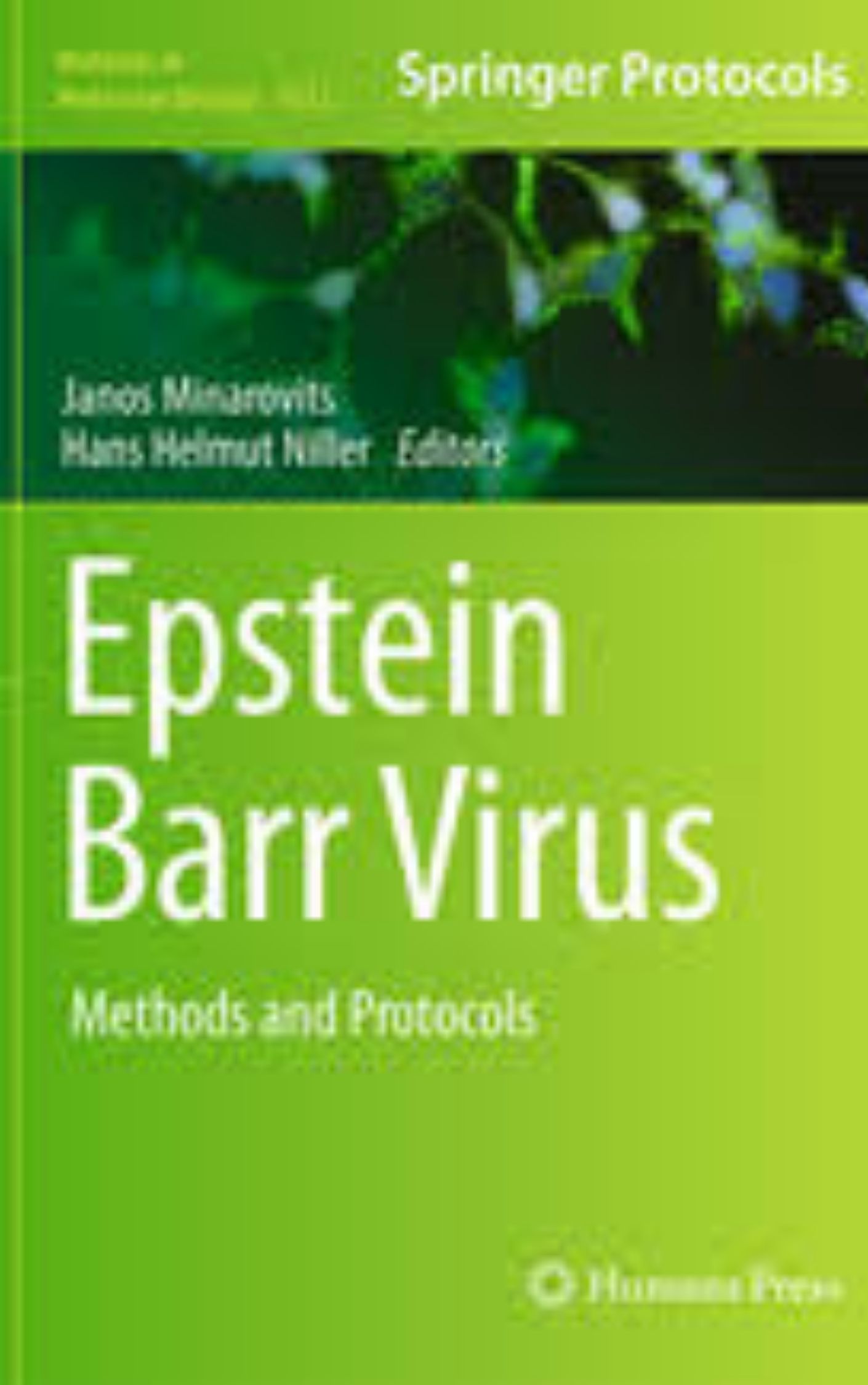 Epstein Barr Virus Protocols