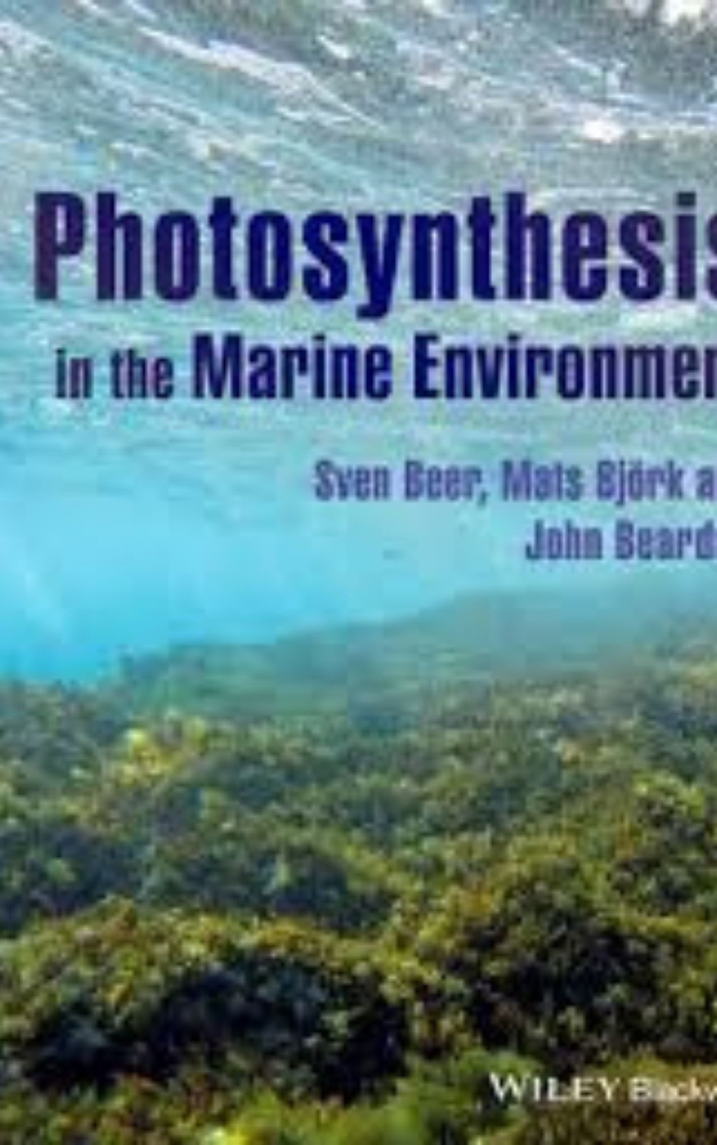 Photosynthesis in the Marine Environment