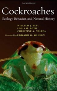 Read more about the article Cockroaches Ecology Behavior and Natural History by Christine A. Nalepa