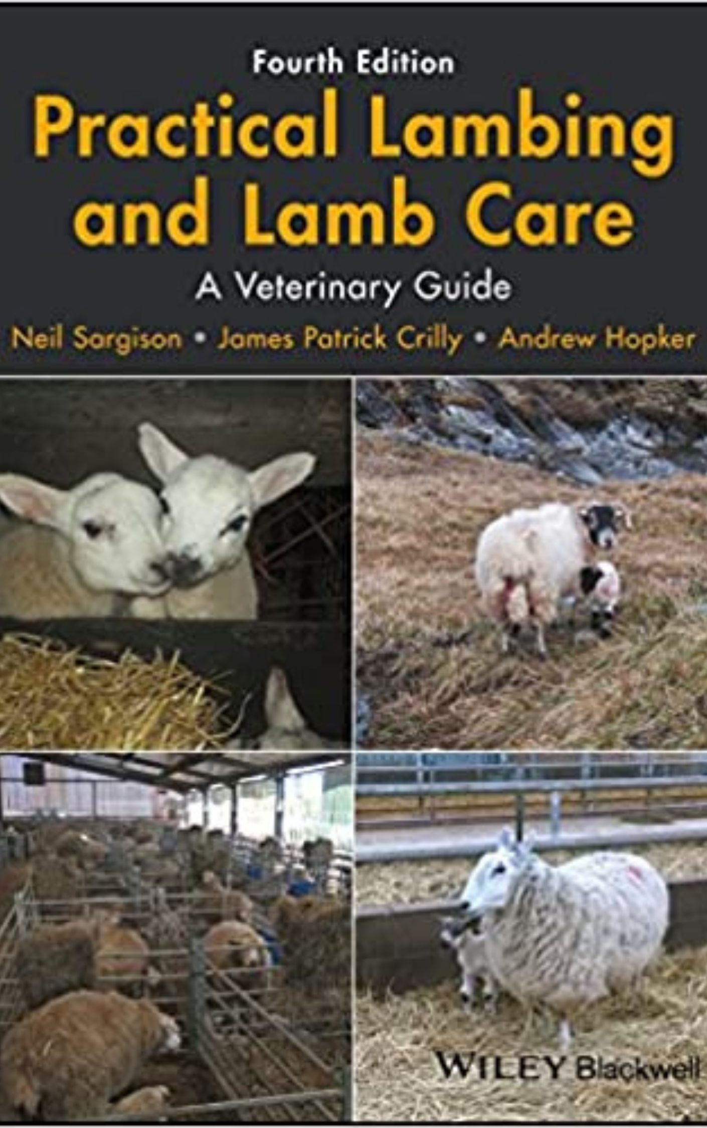 Practical Lambing and Lamb Care A Veterinary Guide