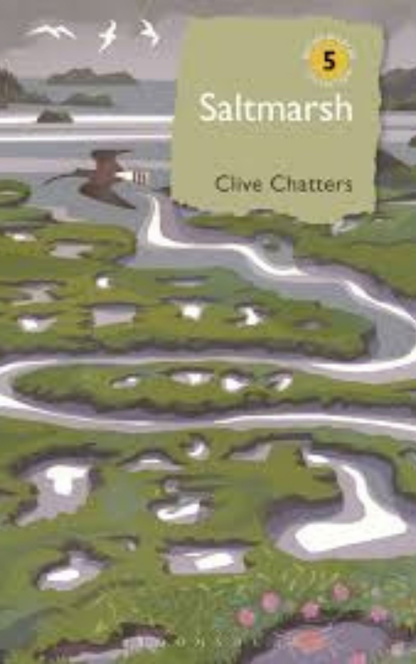 You are currently viewing Saltmarsh  by Clive Chatters