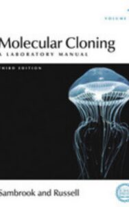 Read more about the article Molecular Cloning A Laboratory Manual by Joe Sambrook