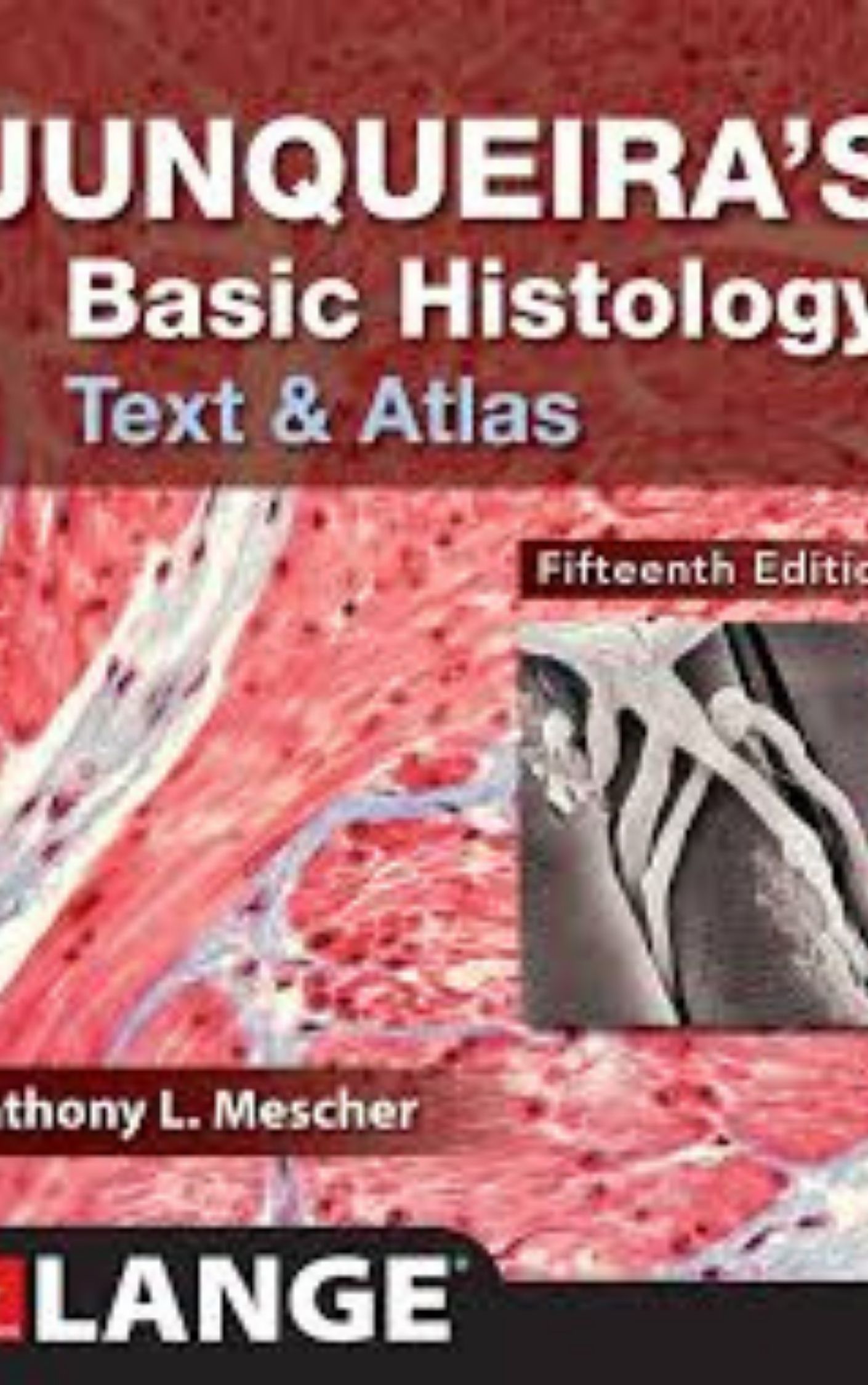 You are currently viewing Junqueira Basic Histology Text and Atlas by  L. Carlos Junqueira