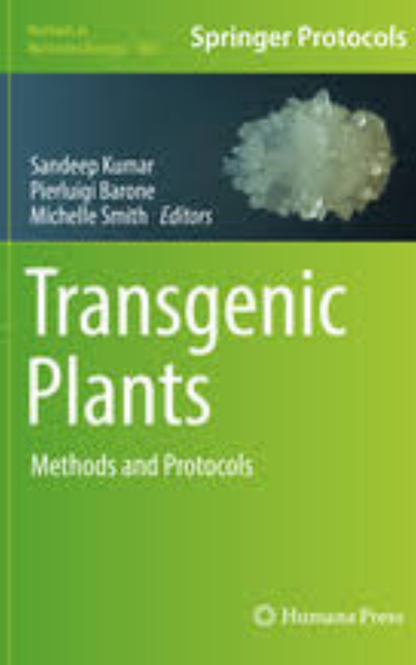 Transgenic Plants