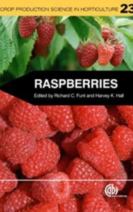 Read more about the article Raspberries by Brambles