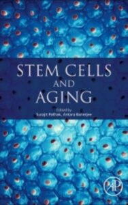 Read more about the article Stem cells and aging  by Antara Banerjee