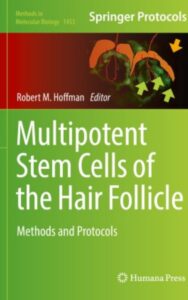 Read more about the article Multipotent Stem Cells of the Hair Follicle Methods and Protocols by Robert M. Hoffman