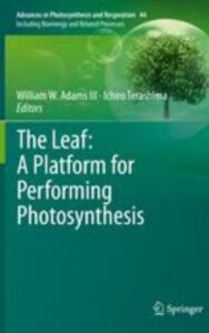 Read more about the article The Leaf A Platform for Performing Photosynthesis by  Ichiro Terashima